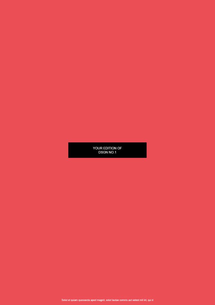 1_DSGN01-CS4_preview10