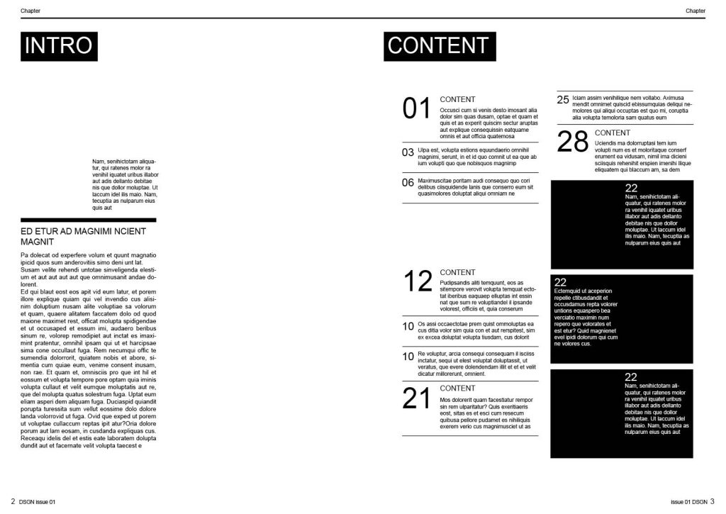 1_DSGN01-CS4_preview2