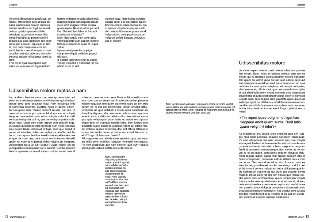 1_DSGN01-CS4_preview7