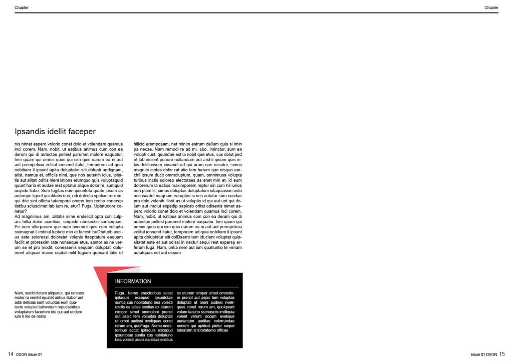 1_DSGN01-CS4_preview8