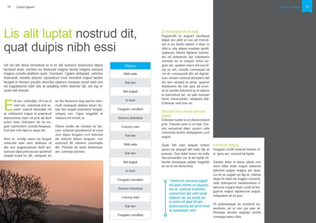 4_magazine-moderatus_preview8