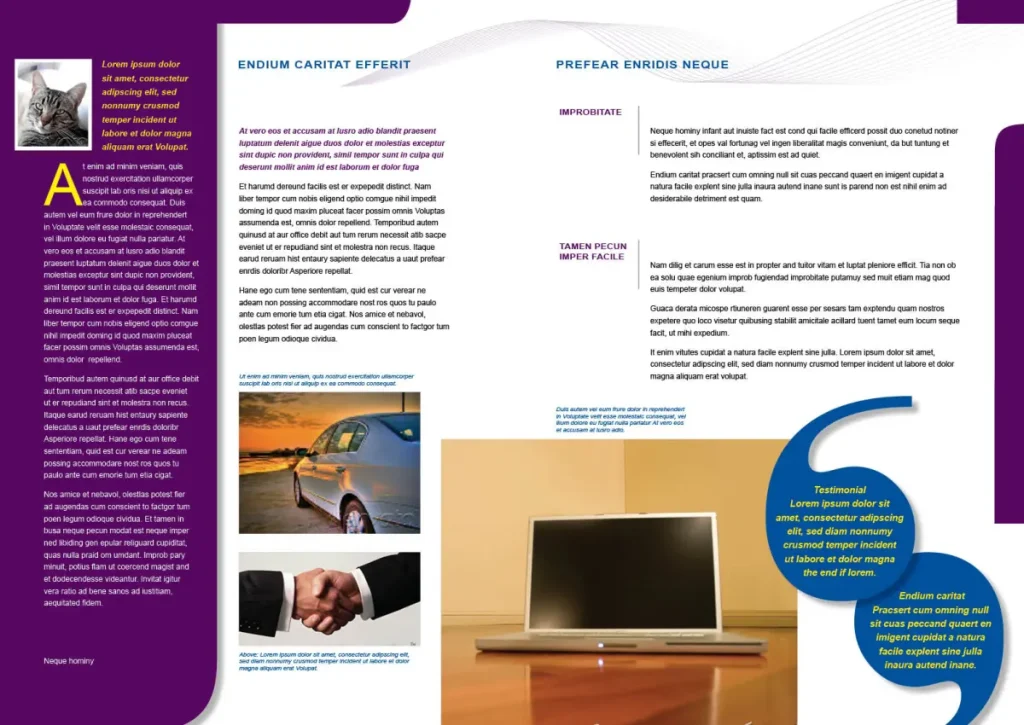 corporate-brochure-spread-02