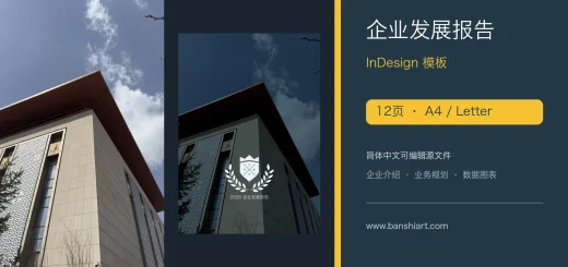 12页企业发展报告InDesign模板｜简体中文A4与Letter双尺寸 特色图片