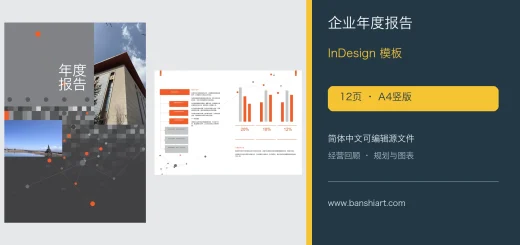 企业年度报告InDesign模板-12页A4简体中文经营汇报画册 特色图片