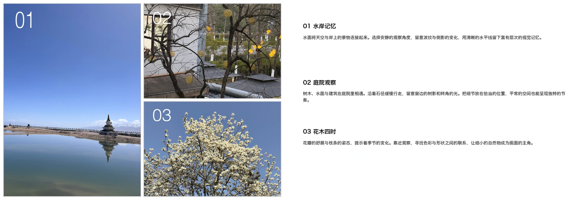 极简影像目录 · 12页 简体中文横版目录对页预览 5