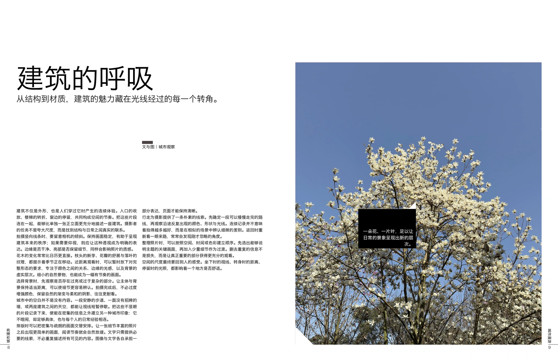 Melville · 20页简体中文版 排版预览 5