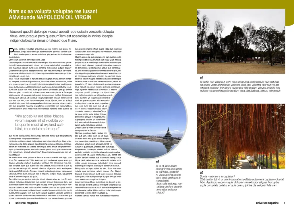 multipurpose-magazine-indesign-template-a4-letter-preview-04