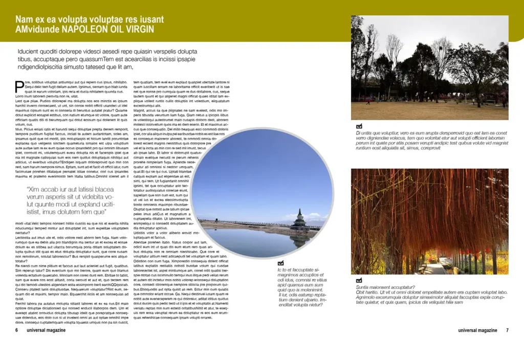 multipurpose-magazine-indesign-template-a4-letter-preview-17