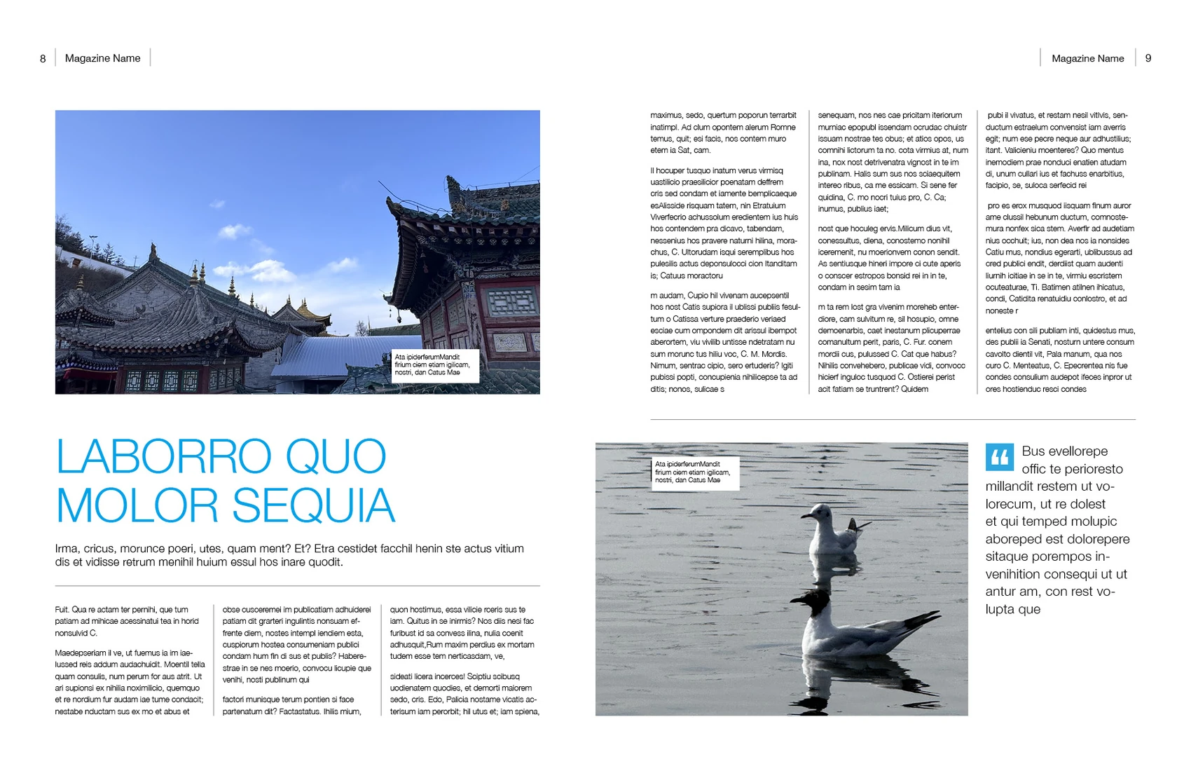 自然生活摄影杂志InDesign模板 US Letter 第8—9页跨页排版预览