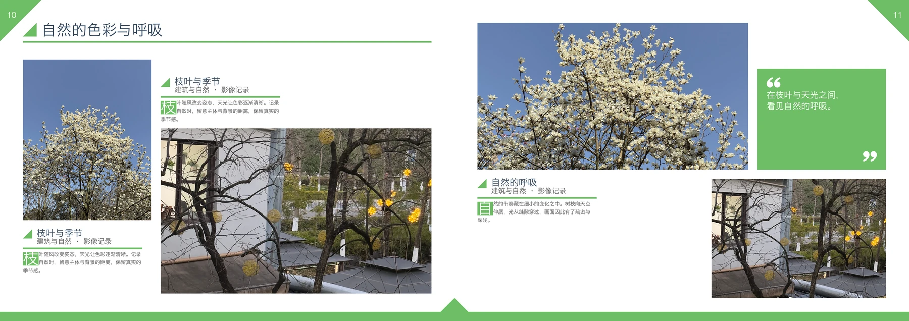 摄影作品集InDesign模板 A4横版 第10—11页对页