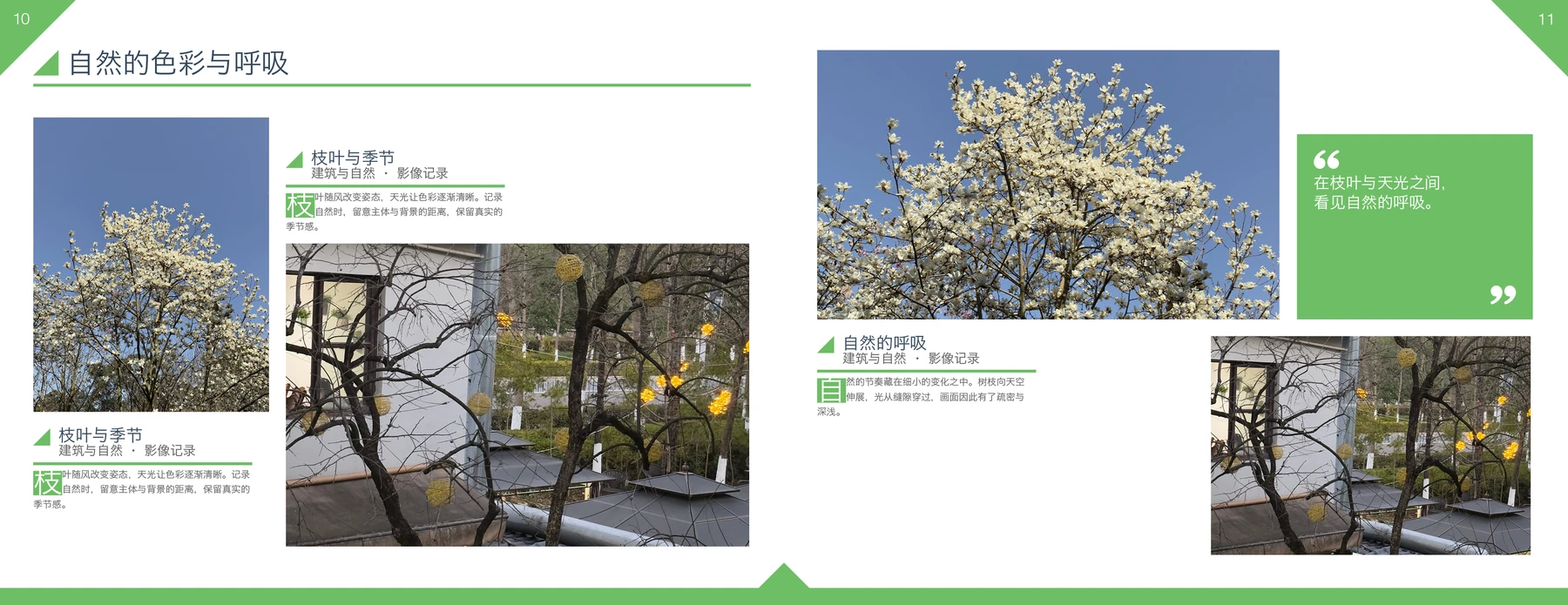 摄影作品集InDesign模板 Letter横版 第10—11页对页